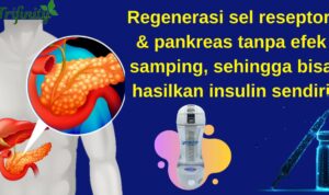 IMG-20210310-WA0162.jpg